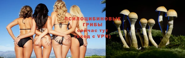 амф Арсеньев