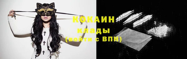 амф Арсеньев