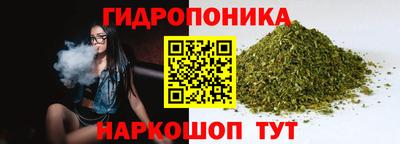 ПСИЛОЦИБИНОВЫЕ ГРИБЫ Бердск