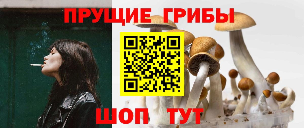 Белово  Галлюциногенные грибы Magic Shrooms  Вход с VPN 